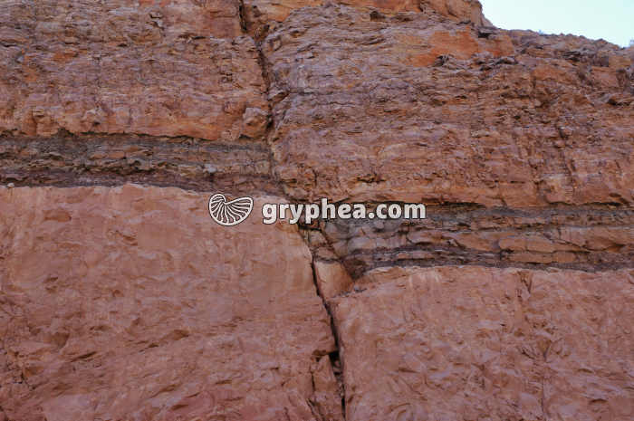 Faille Moab - gryphea.com